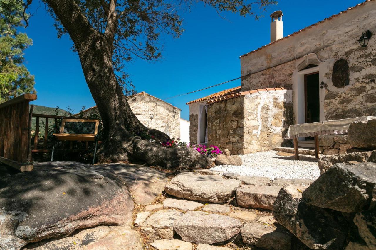 Casa Vacanza Stazzu Saiacciu ปาเลา ภายนอก รูปภาพ